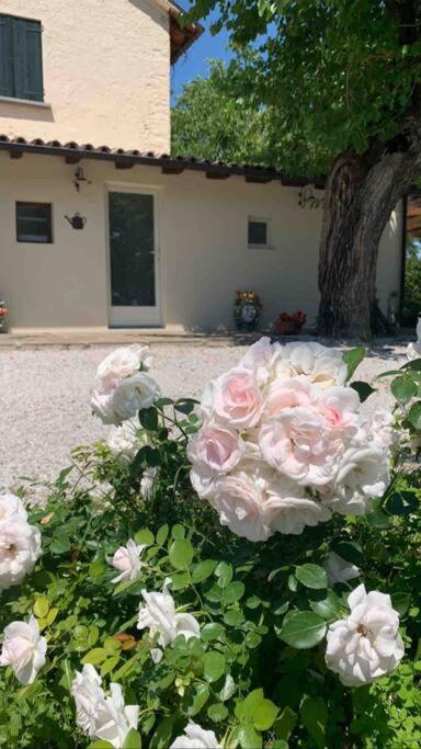 Casa Bellona Villa Montebelluna
